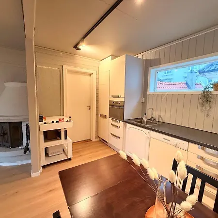 Historic Charm In Bergens Heart Apartment *